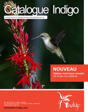 catalogue_2016